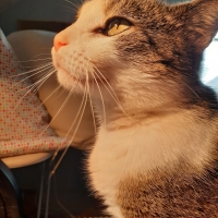 PrincessSunshine